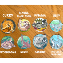 SHARK WEEK Stickers (8 Options!)