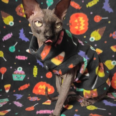 Trick-or-treats! - luxe fleece