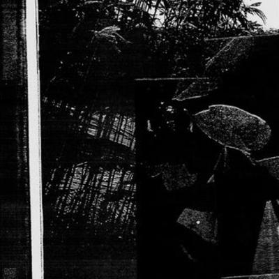 Nbdy 'forest defence is self defense' c-20 - Thumbnail 3