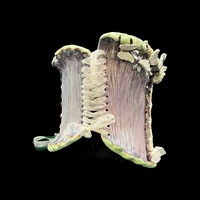 Mossy lavender wearable ceramic corset by: Nicole Moan - Thumbnail 6