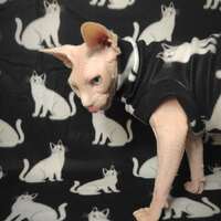 International Cat Day - Lightweight Fleece - Thumbnail 1