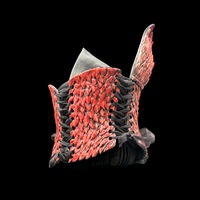 Red Dragon wearable ceramic corset by: Nicole Moan - Thumbnail 5