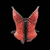 Red Dragon wearable ceramic corset by: Nicole Moan - Thumbnail 8