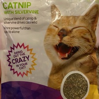 Blue D20 Cat Toy - Thumbnail 3