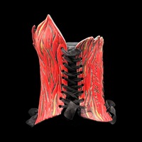 Red fire with 23K Gold wearable ceramic corset by: Nicole Moan - Thumbnail 2