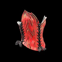 Red fire with 23K Gold wearable ceramic corset by: Nicole Moan - Thumbnail 7