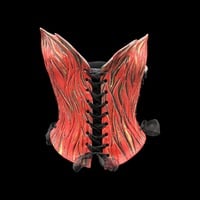 Red fire with 23K Gold wearable ceramic corset by: Nicole Moan - Thumbnail 8