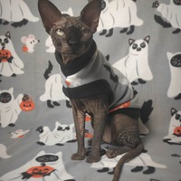 Cat Sheet - Fleece - Thumbnail 2