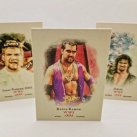 Bad Wrestling Gimmicks - Series 1 Custom Wrestling Trading Card Set - Thumbnail 9