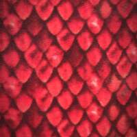 Red Gargoyle - Luxe Fleece - Thumbnail 3