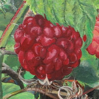 "Raspberries" Acrylic painting on 11 x 14 inch stretched canvas, Original artwork by N.E.Thompson - Thumbnail 2