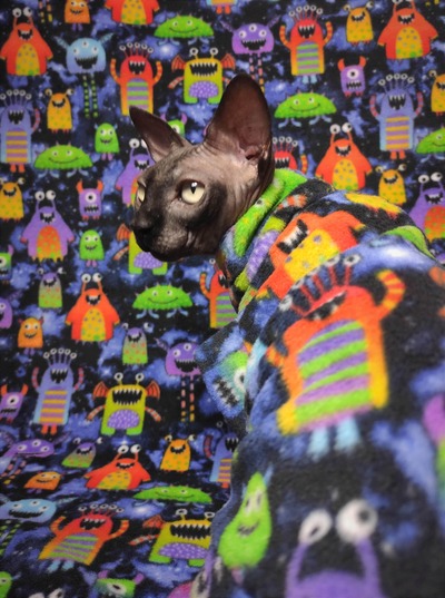 Lil Monsters From Outer Space - Luxe Fleece