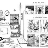 The Catalogue (Vols. 1-4) BUNDLE! - Thumbnail 6