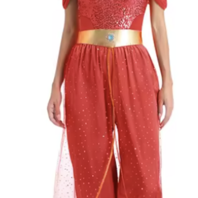 Disney princess jasmine sexy harem girl costume