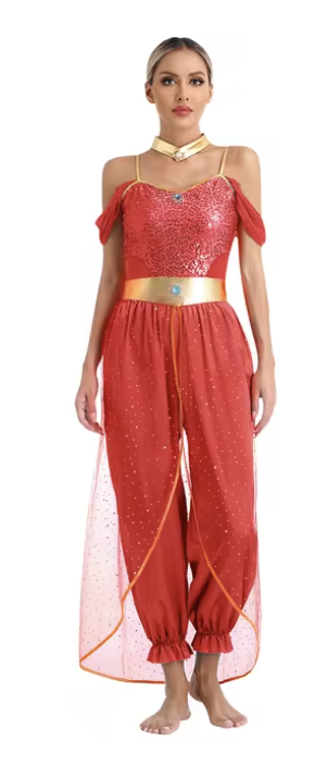 Disney Princess Jasmine sexy Harem Girl Costume