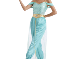 Disney Princess Jasmine sexy Harem Girl Costume - Thumbnail 4