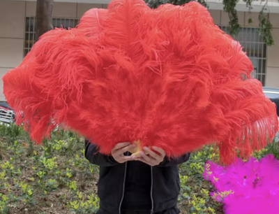 Burlesque Feather Fan Halloween prop Costume