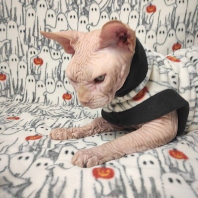 I see dead people! - luxe fleece