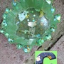 Crystal Candle Holder-2