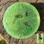 Pop Sockets-4