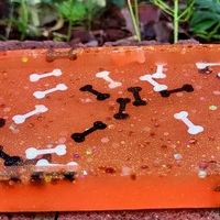 Multipurpose trays - Thumbnail 6