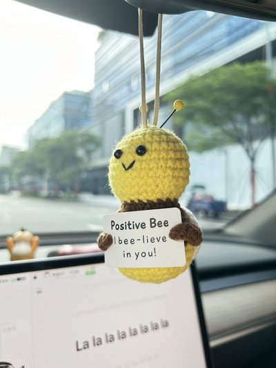 I Bee lieve in you Car Hanging Handmade Crochet Positive Gift