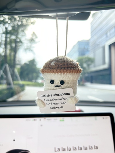 Positive Mushroom Car Hanging Handmade Crochet Positive Gift