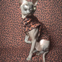 Chocolate Jaguar - Ribbed For Her Pleasure  - Thumbnail 1