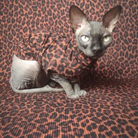 Chocolate Jaguar - Ribbed For Her Pleasure  - Thumbnail 2