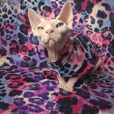 Painted leopard - sleepwear - Thumbnail 4