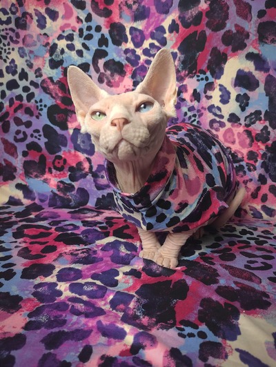 Painted Leopard - Sleepwear