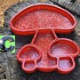 Mushroom Trays-2