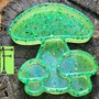 Mushroom Trays-4