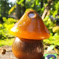 Mushroom Jars