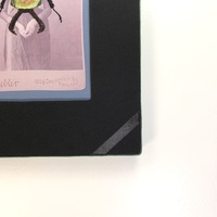 Beetle v.2 - Thumbnail 4