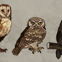  Owl stickers - Thumbnail 1