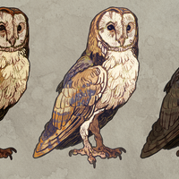  Owl stickers - Thumbnail 2