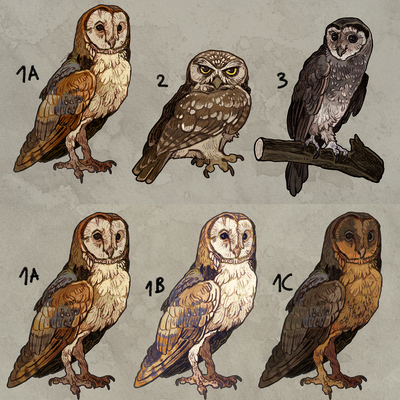  owl stickers