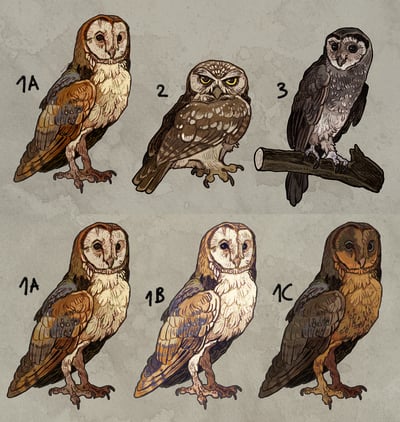  Owl stickers