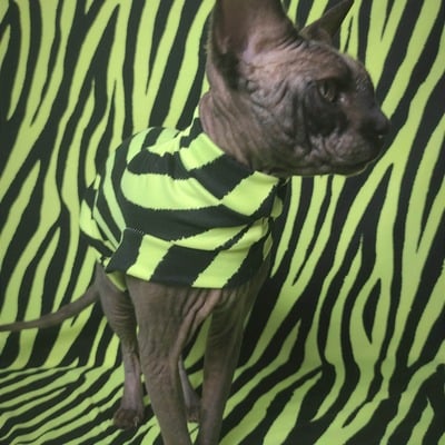 Neon tiger ( green) - sleepwear - Thumbnail 4