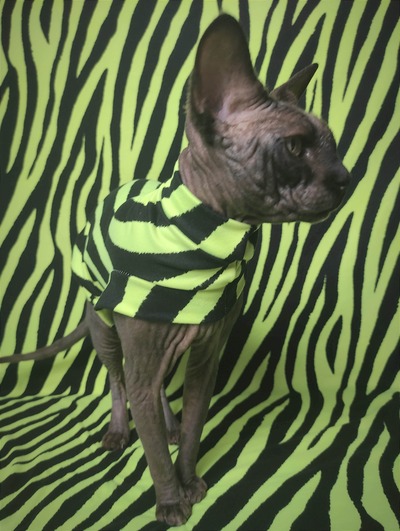 Neon Tiger ( Green) - Sleepwear
