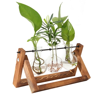Desktop glass planter bulb plant terrarium with wooden stand air planter glass vase metal swivel plant vase for hydroponics
