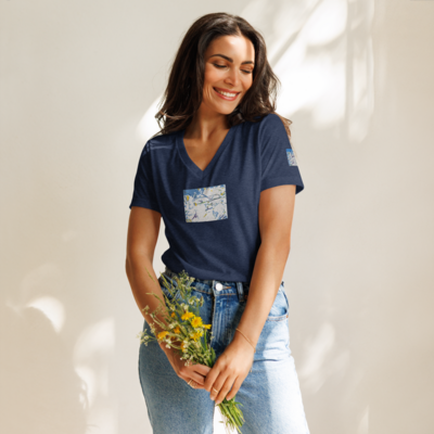 Womens relaxed v-neck t-shirt - swallows