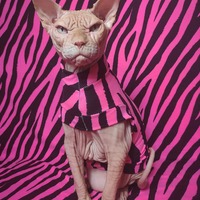 Neon Tiger (Pink) - Sleepwear - Thumbnail 1