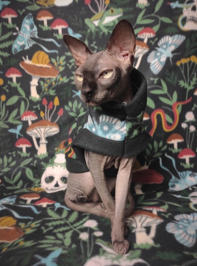 Halloween Shroomin' - Fleece