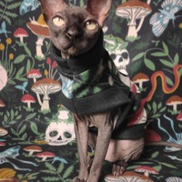 Halloween Shroomin' - Fleece - Thumbnail 2