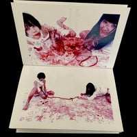 2 Girls 1 Gut DVDr + Photobook  - Thumbnail 3