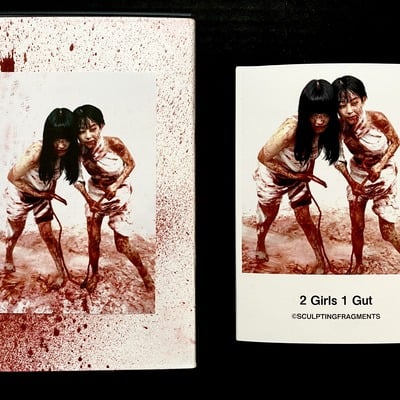 2 girls 1 gut dvdr + photobook 