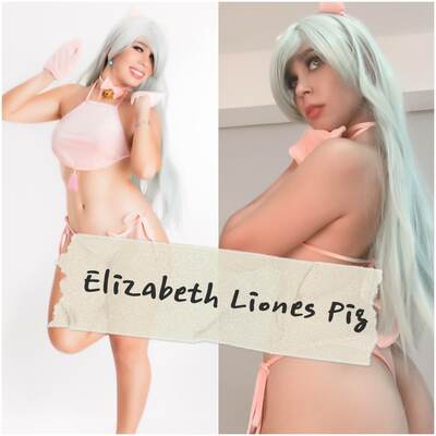 Elizabeth liones pig lingerie digital - Thumbnail 4
