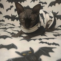 Bats! - Luxe Fleece - Thumbnail 1
